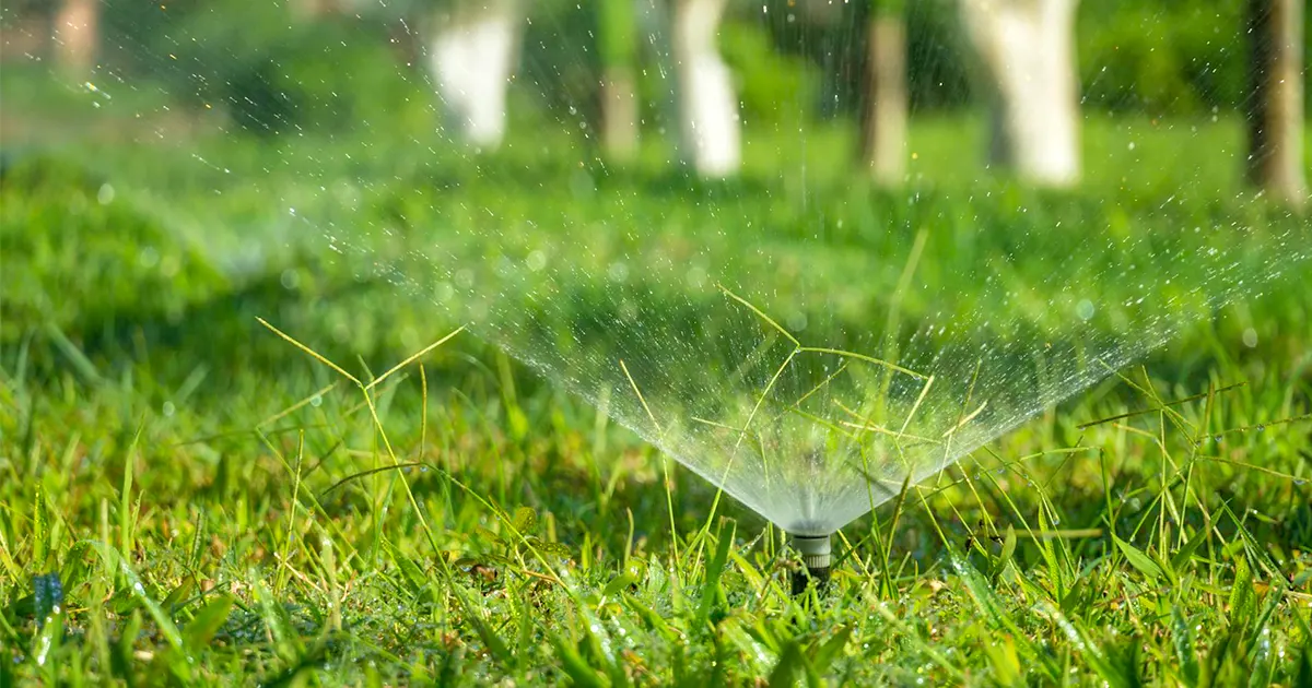Lawn sprinkler system